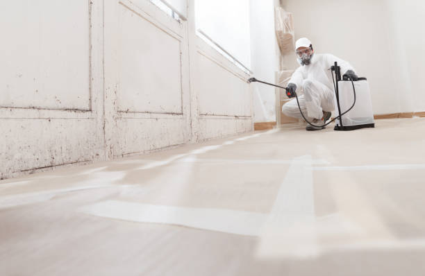 24/7 Emergency Crawl Space Mold Removal experts in Point Pleasant, PA